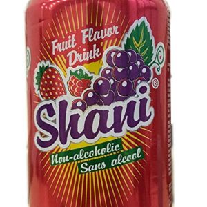 Shani Fruit Flavour Drink 330ml (Pack of 12 Cans)